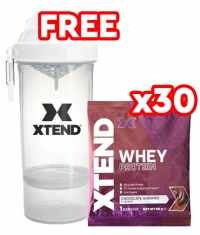 PROMO STACK SmartShake Bottle + 30 x Xtend Whey Protein Sachets