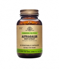 SOLGAR Astragalus Root Extract  60 Caps.