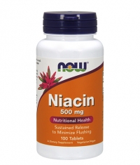 NOW Niacin 500mg / 100 Tabs.