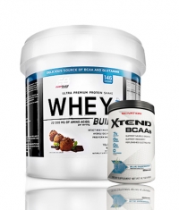 PROMO STACK Everbuild Whey Build 10 Lbs. / SCIVATION Xtend Intra-Workout Catalyst! /New Formula/ 30 Servs.