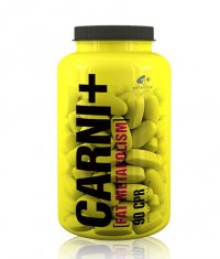 4+ NUTRITION CARNI + / 90tabs