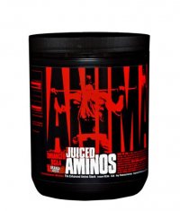 UNIVERSAL ANIMAL Juiced Aminos